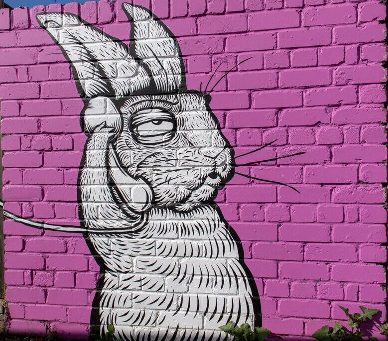 grafitti of rabbit holdinh a landline telephone, painted on pink wall